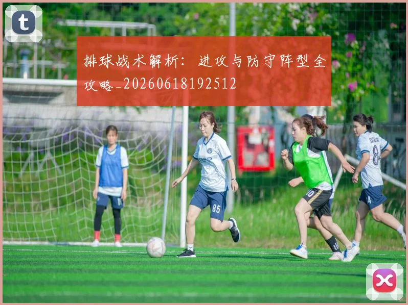 排球战术解析：进攻与防守阵型全攻略_20260618192512