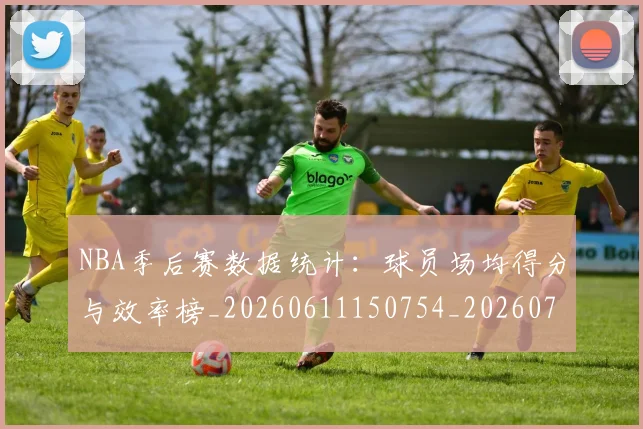 NBA季后赛数据统计：球员场均得分与效率榜_20260611150754_20260702194612