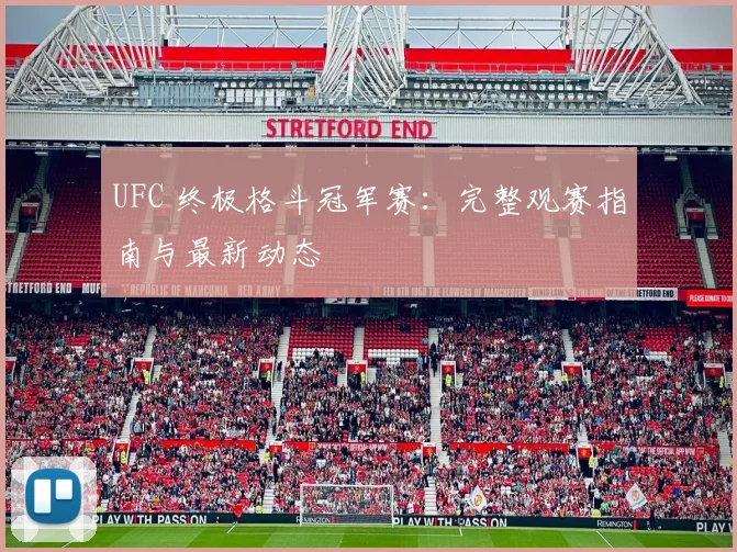 UFC 终极格斗冠军赛：完整观赛指南与最新动态