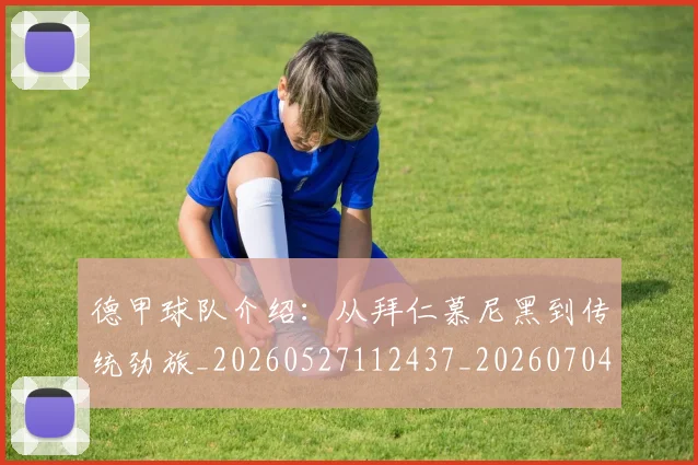 德甲球队介绍:从拜仁慕尼黑到传统劲旅_20260527112437_20260704173355