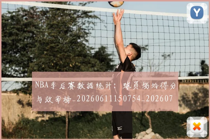 NBA季后赛数据统计:球员场均得分与效率榜_20260611150754_20260702194612